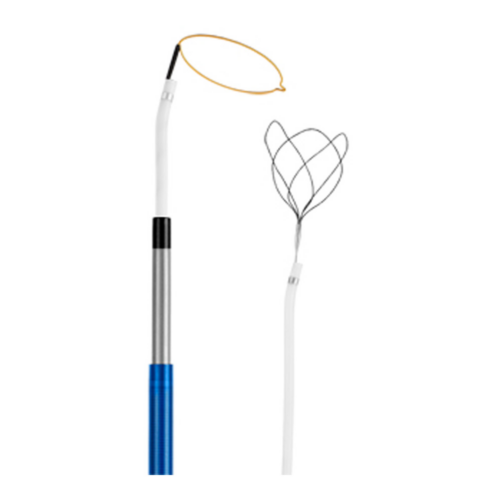single loop and triple loop retrieval kit